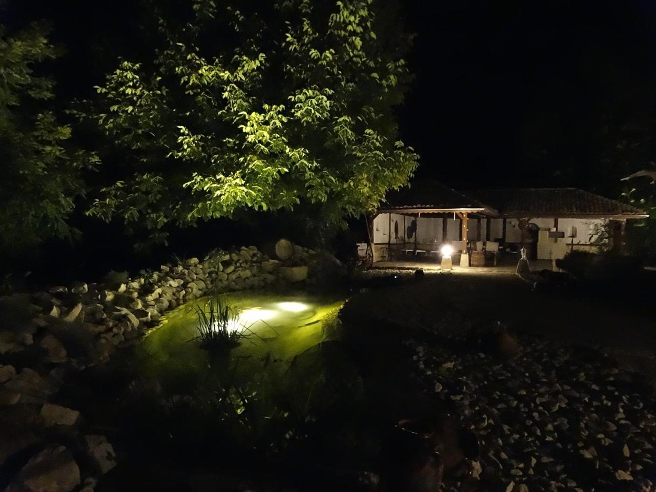 Guest House Biekorf Kostandenets エクステリア 写真